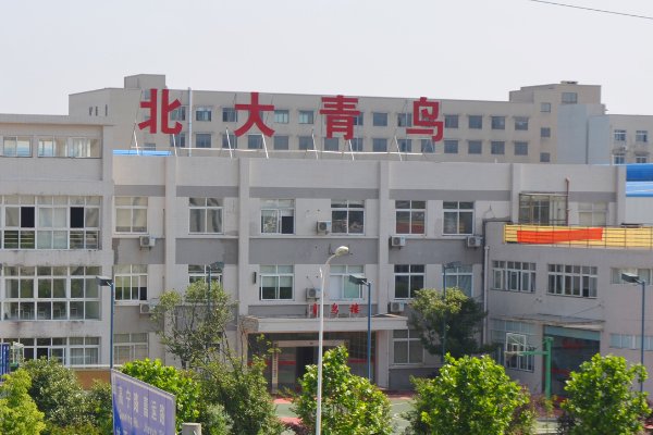 北大青鸟的学费一年是多少