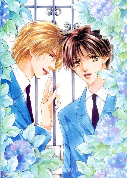 大矢和美的介绍