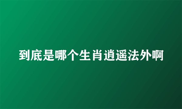 到底是哪个生肖逍遥法外啊