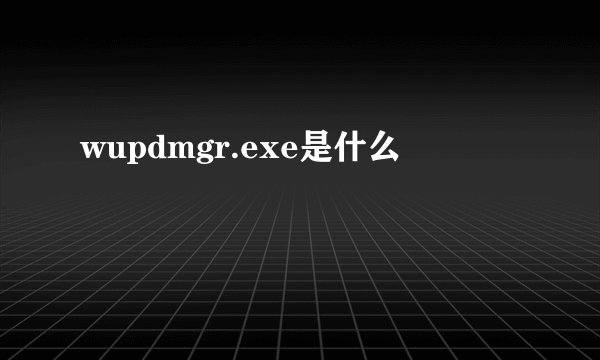 wupdmgr.exe是什么