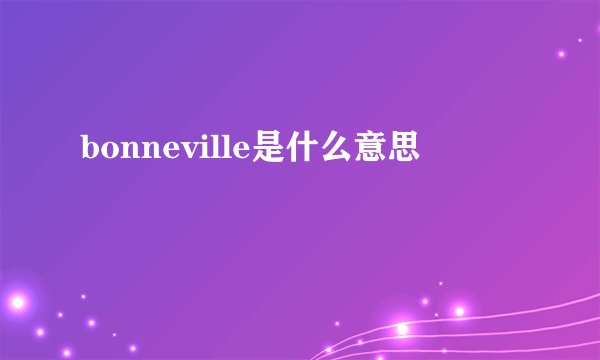 bonneville是什么意思