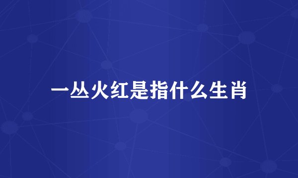 一丛火红是指什么生肖