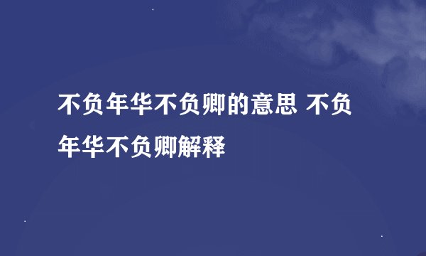 不负年华不负卿的意思 不负年华不负卿解释