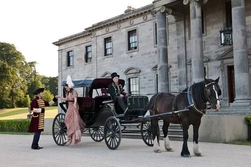 janine英文怎么读