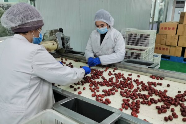 家庭办厂致富项目