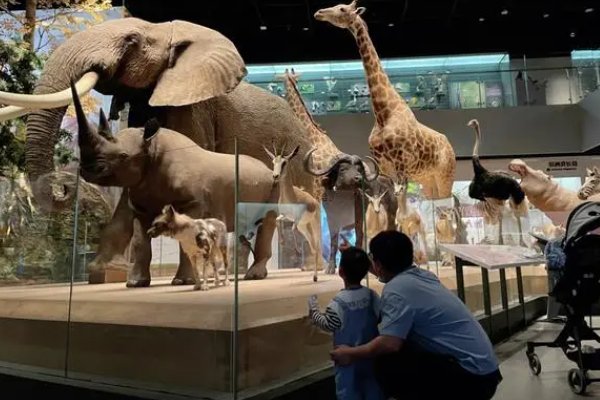 杭州第二课堂地址清单