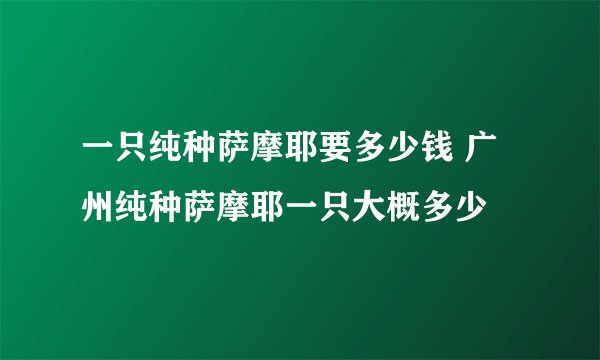 一只纯种萨摩耶要多少钱 广州纯种萨摩耶一只大概多少