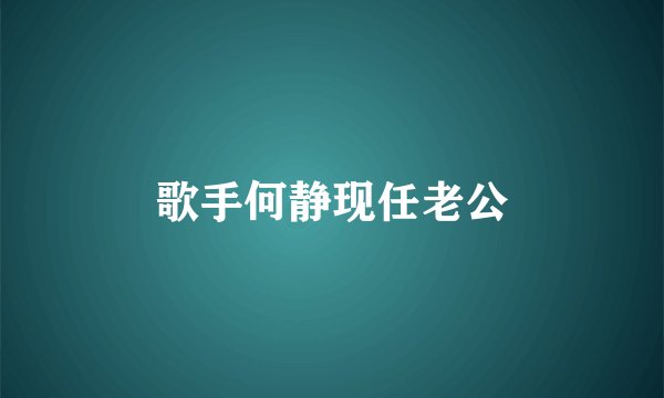 歌手何静现任老公