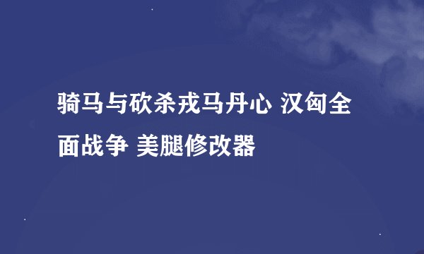 骑马与砍杀戎马丹心 汉匈全面战争 美腿修改器