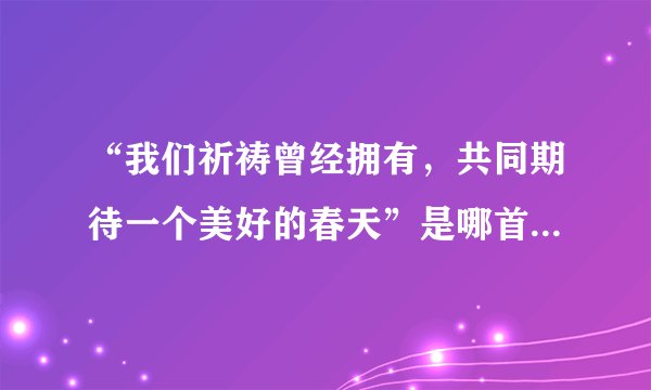 “我们祈祷曾经拥有，共同期待一个美好的春天”是哪首歌上的？