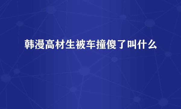 韩漫高材生被车撞傻了叫什么