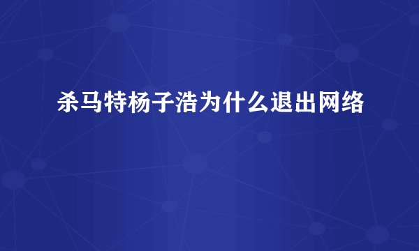 杀马特杨子浩为什么退出网络