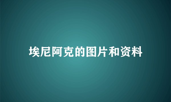 埃尼阿克的图片和资料