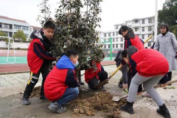 纤纤不绝林薄成,涓涓不止江河生什么意思