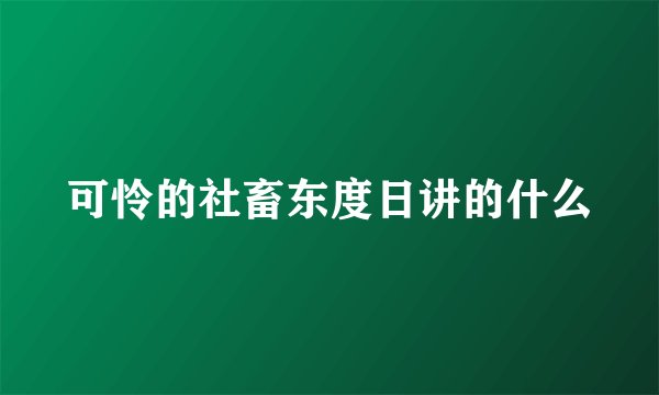 可怜的社畜东度日讲的什么