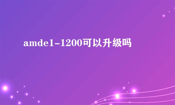 amde1-1200可以升级吗