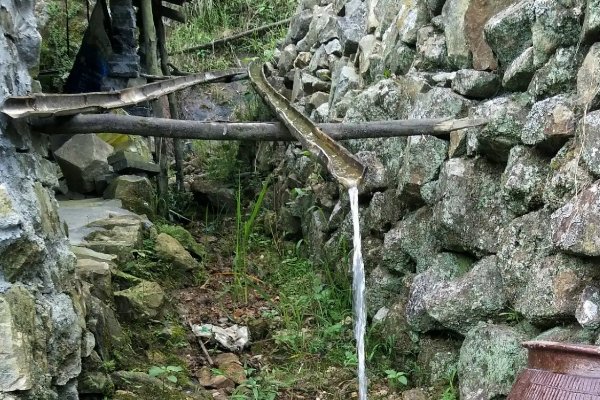 水笕是什么图片