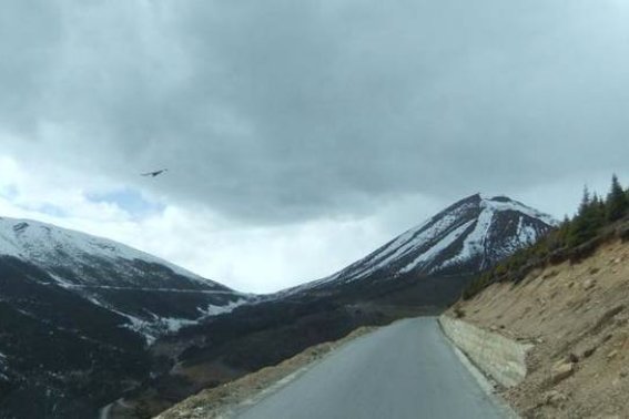 穷途末路什么意思