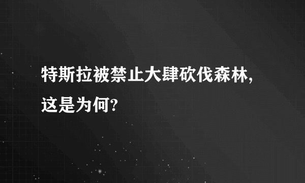 特斯拉被禁止大肆砍伐森林,这是为何?
