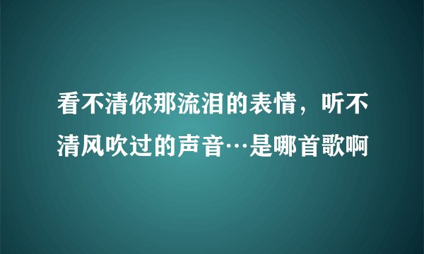 看不清你那流泪的表情，听不清风吹过的声音…是哪首歌啊