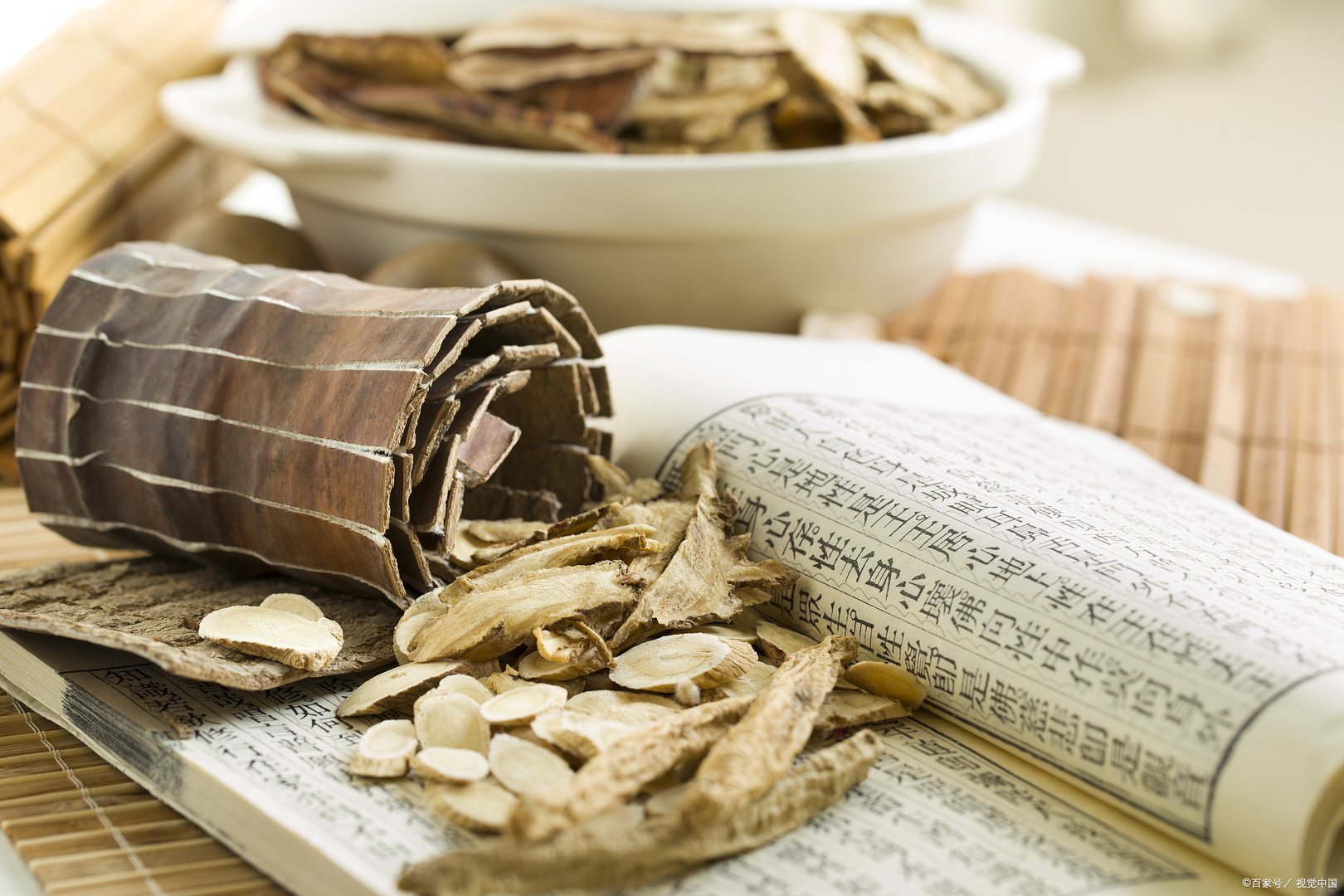 蚂蚁庄园：古人常用什么树来借指故乡？是桑树和梓树吗？