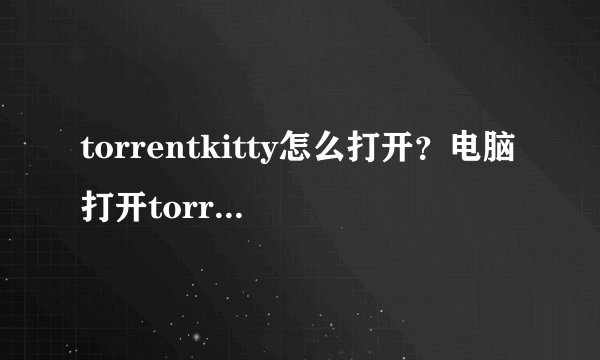 torrentkitty怎么打开？电脑打开torrentkitty的方法