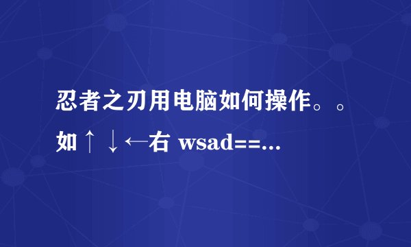 忍者之刃用电脑如何操作。。如↑↓←右 wsad== 麻烦 跪求 麻烦了