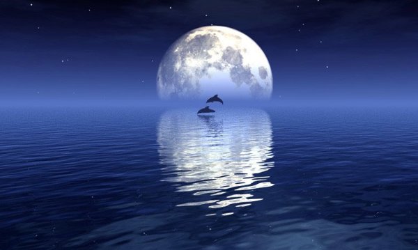 一轮明月像什么一样挂在夜空补充句子