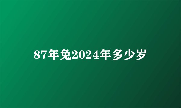 87年兔2024年多少岁
