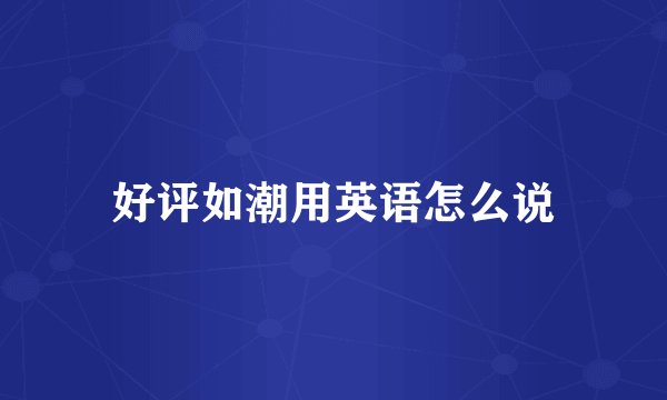 好评如潮用英语怎么说