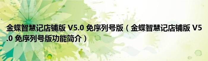 金蝶智慧记店铺版V50免序列号版金蝶智慧记店铺版V50免序列号版功能简介