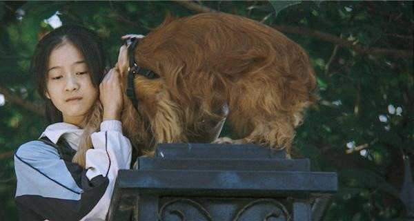 电影《狗十三》这个名字有什么含义?