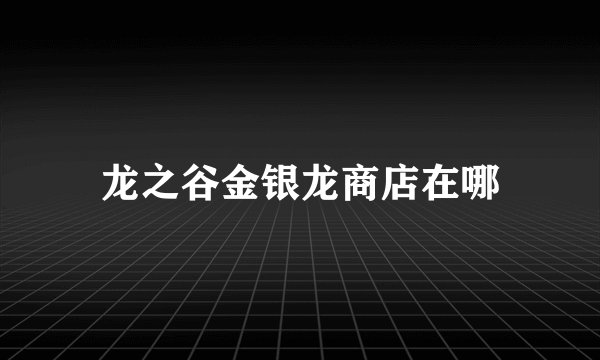 龙之谷金银龙商店在哪