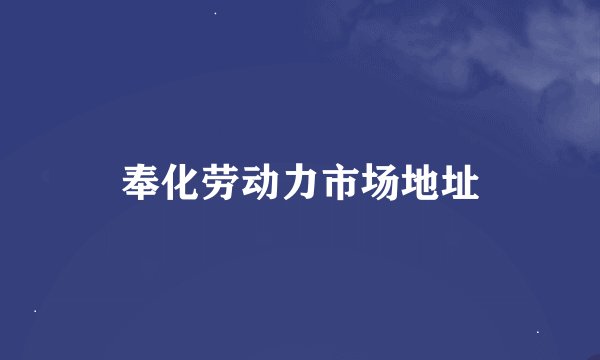 奉化劳动力市场地址