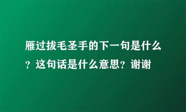 雁过拔毛圣手的下一句是什么？这句话是什么意思？谢谢