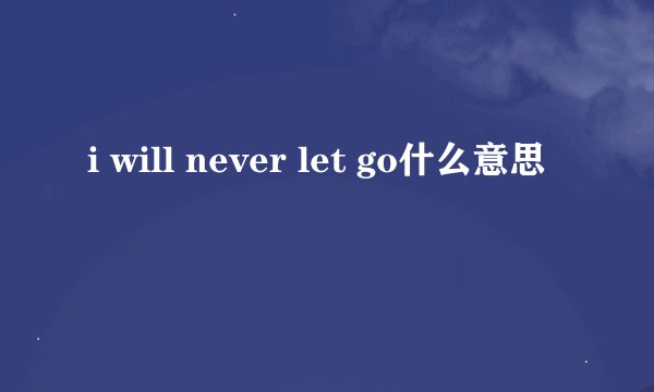 i will never let go什么意思
