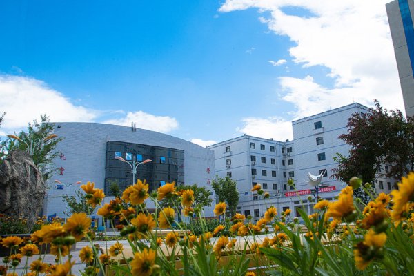 2023大专补录的学校有哪些