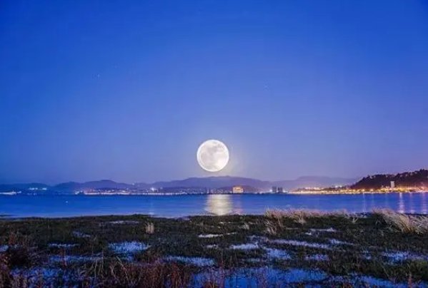 十六赏月的心情说说