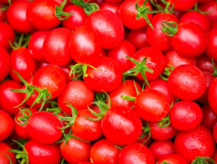 沈阳阳性圣女果已致11人感染，这批阳性圣女果是从哪儿来的？