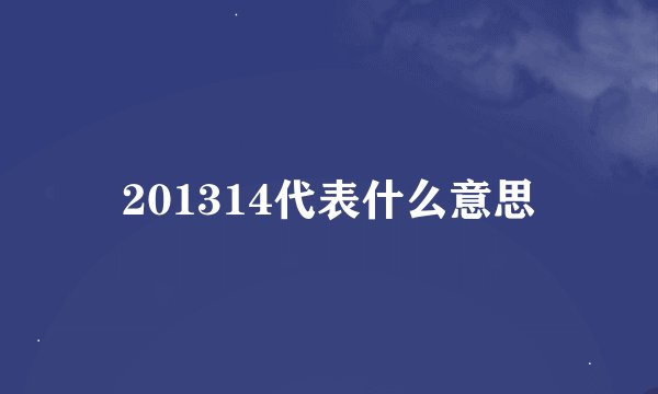 201314代表什么意思