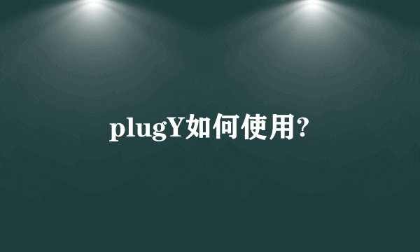plugY如何使用?