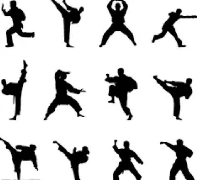 中国传统武术中的尚武是什么意思？