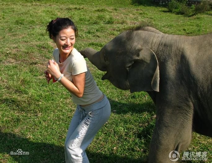 王宁彤的个人简介