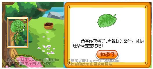 摩尔庄园现在如何获得桑叶.