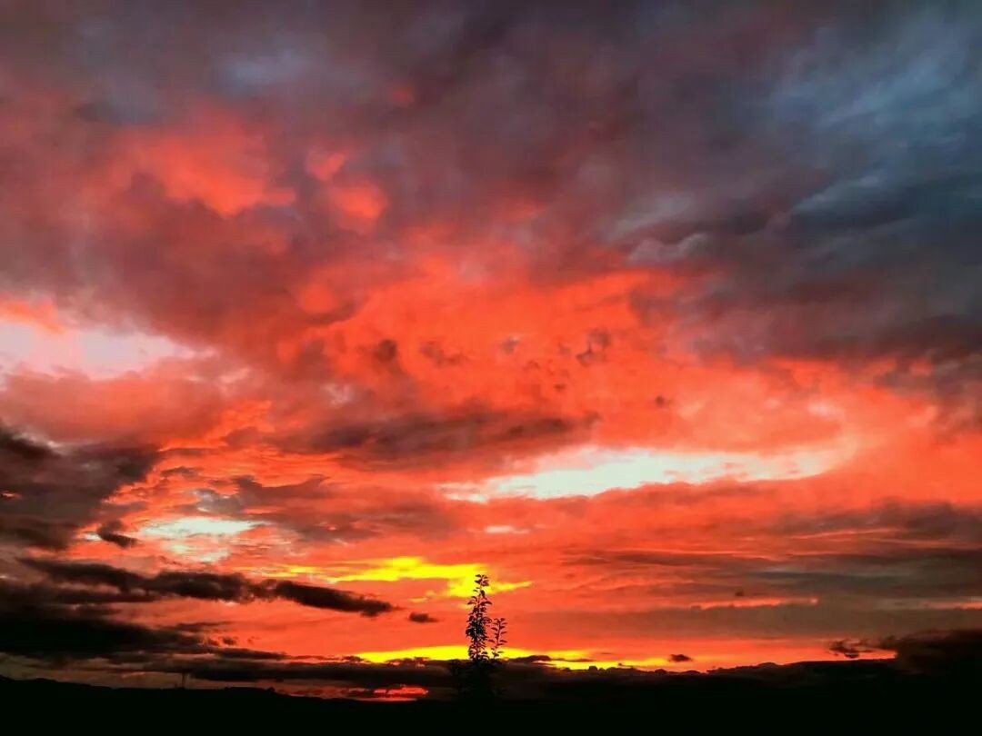 渺渺上体育课抓单杠长白光阴