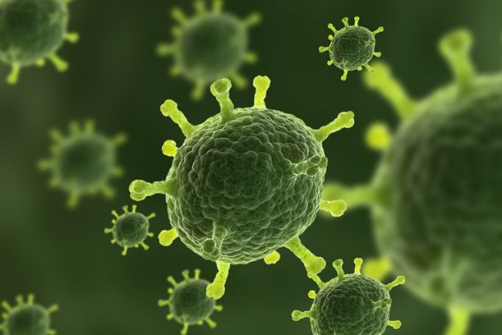 抑菌是什么意思