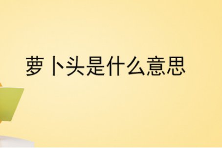 萝卜头是什么意思