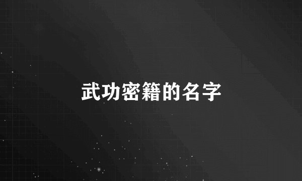 武功密籍的名字