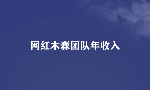 网红木森团队年收入