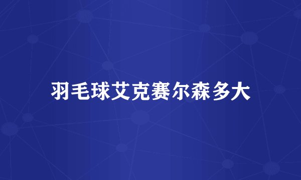 羽毛球艾克赛尔森多大